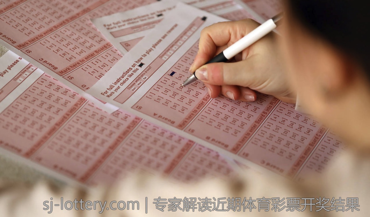 全面掌握大乐透走势图与中奖查询